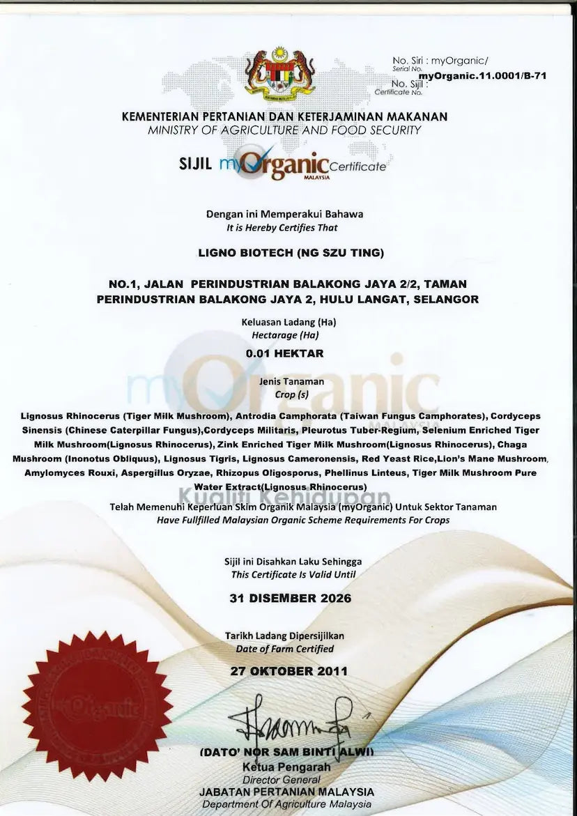 新品試用2條裝⚡️虎乳芝止咳喘兩條裝 !!❗三大權威認證❗⭐【抗敏舒鼻 化痰清濁 增強免疫 止咳定喘 補益氣 健強氣管】