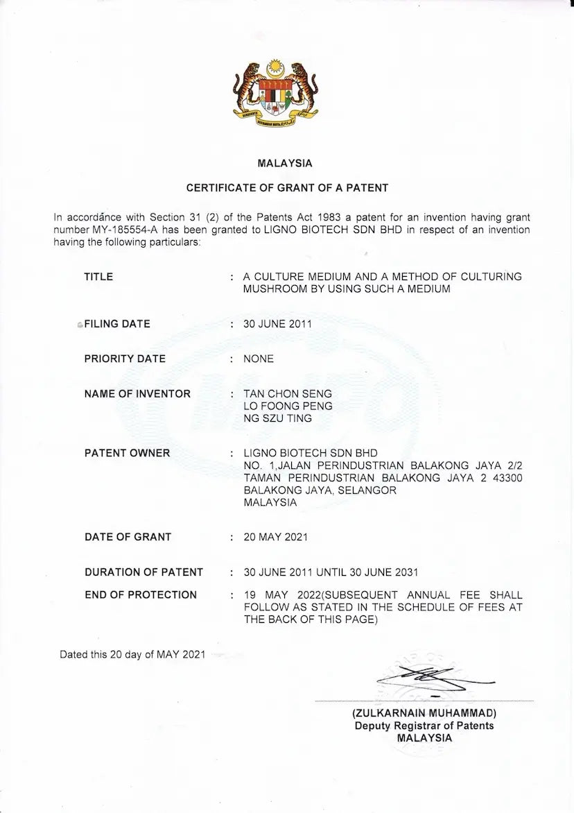 新品試用2條裝⚡️虎乳芝止咳喘兩條裝 !!❗三大權威認證❗⭐【抗敏舒鼻 化痰清濁 增強免疫 止咳定喘 補益氣 健強氣管】