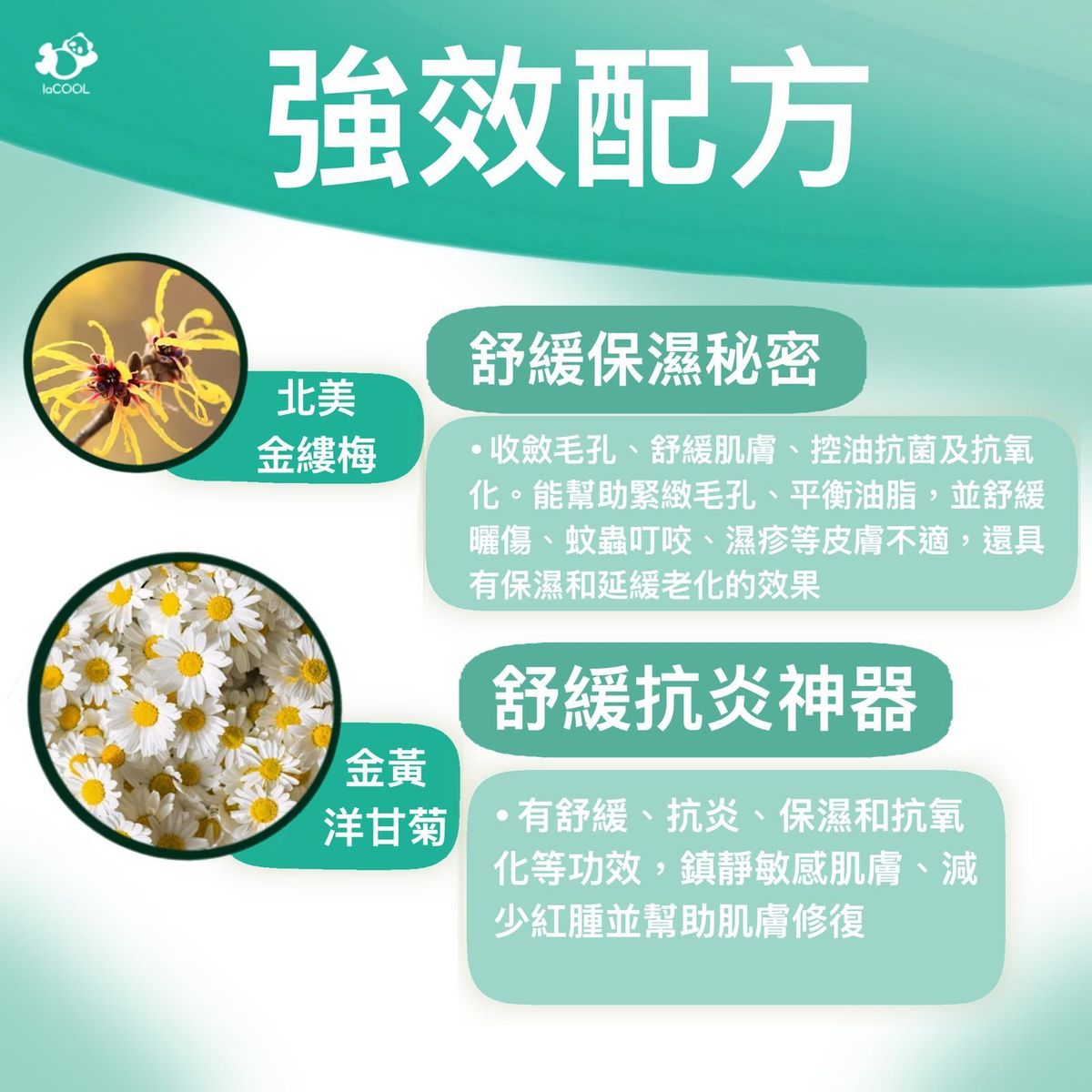 ⚡️強效舒緩啫哩凍膜 60g❗【修護 舒緩 保濕 褪紅】⭐