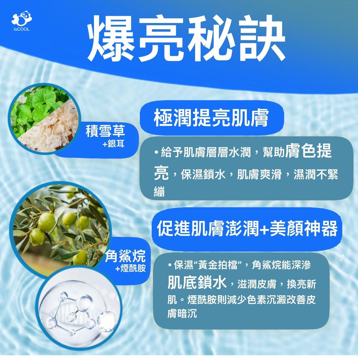 ⭐爆亮精華液30ml⭐【美白 抑制色沉 滋潤皮膚 】積雪草 角鯊烷❗